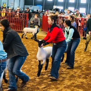 Meet your Posher, Kynlee